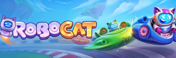 Robocat Casino NZD banking page